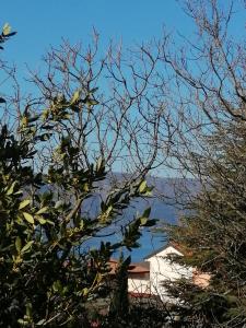 a view of the water from behind some trees at Haus Convallaria in Pinezici