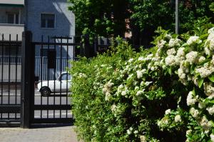 A garden outside DESIGN DISTRICT- NAVIGLI Mini Appartamento Via Tortona 66