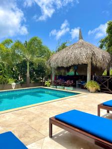 a resort swimming pool with a thatch hut at Hibiscus Beach House in Willemstad