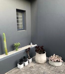 Billede fra billedgalleriet på Evane i Plettenberg Bay