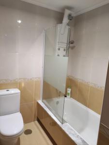 een badkamer met een douche, een toilet en een bad bij The Way Apartamento in O Pedrouzo