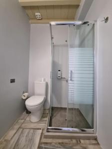 a bathroom with a toilet and a glass shower at Beachfront 2br apartment - Free parking in Serifos Chora