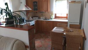 Kuchyň nebo kuchyňský kout v ubytování Apartmány u Pilaře