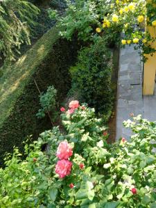 Fotografia z galérie ubytovania ROSE'S GARDEN - zona tranquilla - vicino Torino v destinácii Pino Torinese