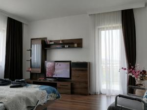 Aparthotel Laura في كلوي نابوكا: غرفة نوم بسرير وتلفزيون على طاولة