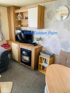 Golden Palm, 8 Berth Caravan في سكيجنيس: غرفة معيشة مع تلفزيون ومدفأة
