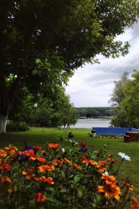 un ramo de flores en la hierba cerca de un lago en Vila Marina na obali Dunava, en Neštin