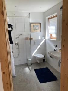 a bathroom with a shower and a toilet and a sink at Casacanols in Valbella