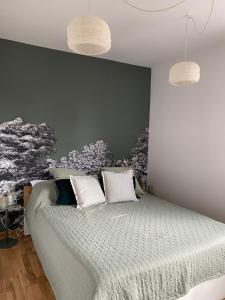 Fotografia z galérie ubytovania Apartament Las v destinácii Olsztyn