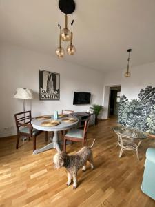 Fotografia z galérie ubytovania Apartament Las v destinácii Olsztyn