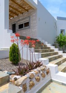 Fotografie z fotogalerie ubytování Villa Evelyn v destinaci Pefki Rhodes