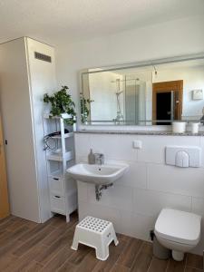 a bathroom with a sink and a toilet and a mirror at Reetdachhaus Hasel 2 in Poseritz