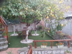 A garden outside LA Giulia