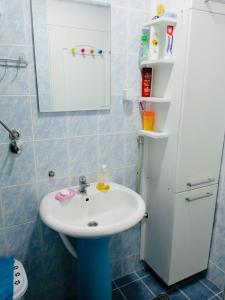 A bathroom at Household Nikolic - Andrijevica, Montenegro