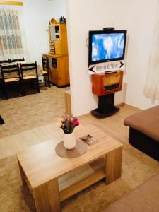 Household Nikolic - Andrijevica, Montenegro في Andrijevica: غرفة معيشة مع إناء من الزهور على طاولة قهوة