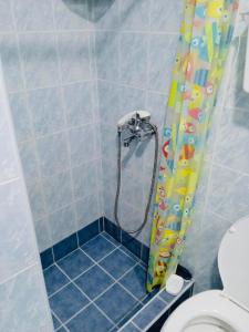 A bathroom at Household Nikolic - Andrijevica, Montenegro