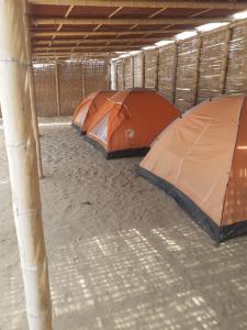 Fotografie z fotogalerie ubytování Pepon Surf Camp v destinaci Máncora