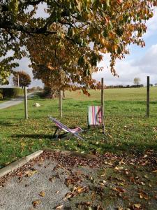 einen Stuhl auf dem Gras unter einem Baum in der Unterkunft Vendrennes Chez Florymarysol in Vendrennes