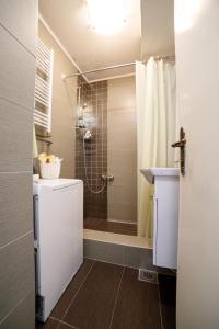 een badkamer met een douche, een toilet en een wastafel bij Old Town SCHarajevo - Free Parking in Sarajevo