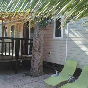 a palm tree and two chairs next to a house at Mobil home Stéfie in Vias