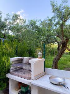 A garden outside Scopello Home