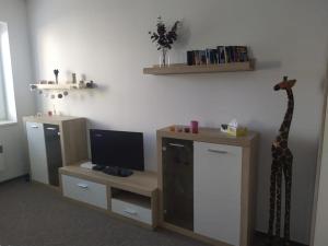 Kuchyň nebo kuchyňský kout v ubytování Apartmán 10