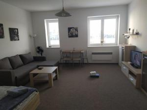 TV a/nebo společenská místnost v ubytování Apartmán 10