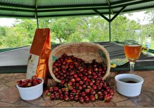 a basket of cherries on a table with a glass of wine at HOTEL CAMPESTRE - BRUGMANSIA - Fincahotel in Montenegro