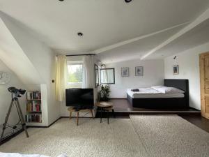 a bedroom with a bed and a television in it at Albi S - HH Airport in Hamburg