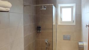 a shower with a glass door and a window at Elata Apartments in Limenas +35 photos