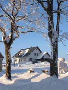 un patio cubierto de nieve con una casa y dos árboles en Apartmány Fox en Boží Dar