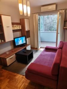 Televízia a/alebo spoločenská miestnosť v ubytovaní Apartment T&T