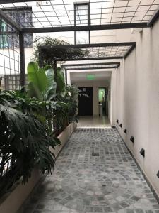 un couloir dans un bâtiment avec des plantes à l'étage dans l'établissement salta centro, à Salta