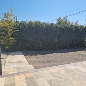 a garden with a hedge and a patio at Rez de villa avec piscine, wifi, jardin clôturé in Penta-di-Casinca
