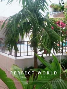 a picture of a house with a palm tree at Appartement haut standing avec piscine in Yaoundé
