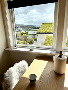 una ventana con un perro blanco sentado frente a ella en Apartment in central Torshavn, en Tórshavn