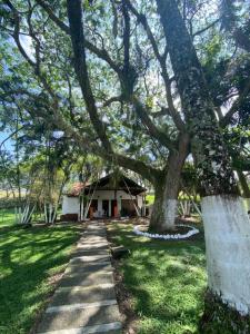 Hotel El Danubio Campestre外面的花园