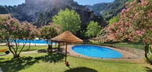 a swimming pool in the grass with mountains in the background at Casa el corzo in La Iruela