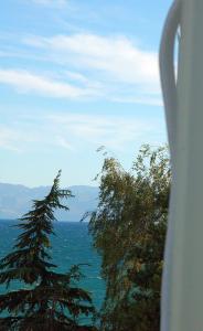 a view of the ocean and trees from a window at Apartment GORDANA in Ohrid