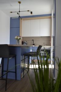 Kuchyňa alebo kuchynka v ubytovaní Villa Apartment Joel