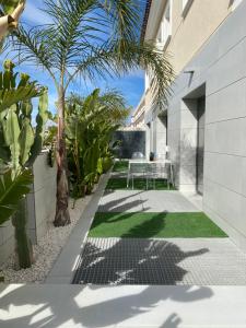 une cour avec une table et un palmier dans l'établissement EBLICórner S, à San Miguel de Salinas