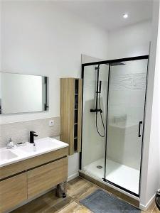 een badkamer met een douche, een wastafel en een spiegel bij Ponsardin #55 spacieux appartement 3 ch 6 couchages in Reims