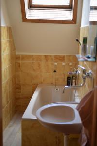 łazienka z umywalką i wanną w obiekcie Apartmán Zahrádka w mieście Česká Lípa