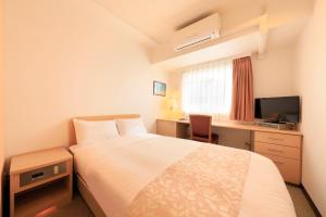 TV a/nebo společenská místnost v ubytování Hotel Famy Inn Kinshicho