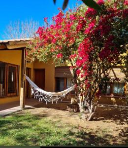 a hammock in front of a house with pink flowers at VEINTICINCO Casa de Huéspedes in Mendoza