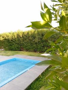 una piscina en un patio con plantas en Exclusiva casa de campo en Condominio La Hacienda - Ica en Ica