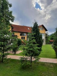 a pine tree in front of a house at Garden Retreat Junior in Bran