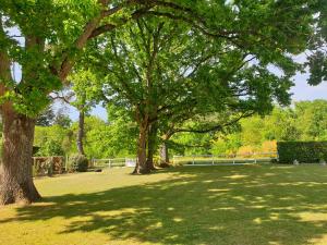 un groupe d'arbres dans un parc avec de l'herbe dans l'établissement LES DRYADES MILLY, à Milly-la-Forêt
