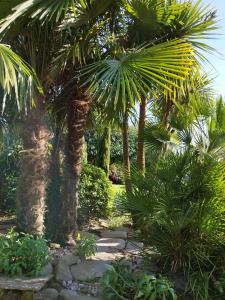 een tuin met palmbomen en een stenen pad bij Les 3 Koïs in Riec-sur-Bélon