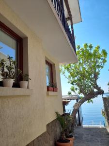 a building with windows and potted plants on it at Къща за гости Кая in Sozopol